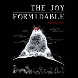 The Joy Formidable : The Big More
